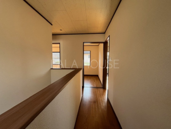 ���̑����� -