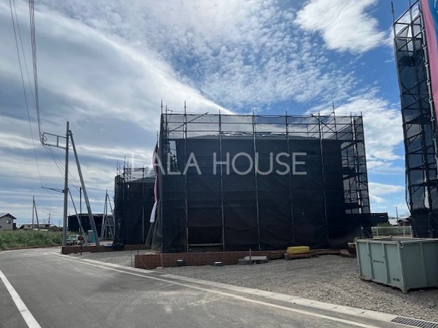 OʓH܂ތnʐ^ 2025.9.29Be
Cyɂ₢킹