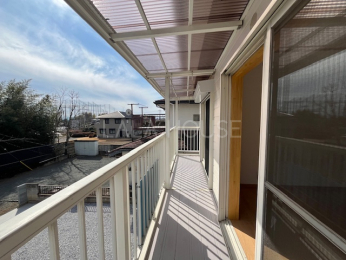 �o���R�j�[ -