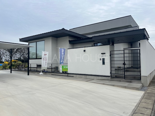 nOώʐ^ łł܂Cyɂ₢킹