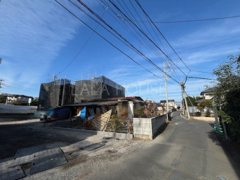 ���n�O�ώʐ^ 2025.12.8�B�e��