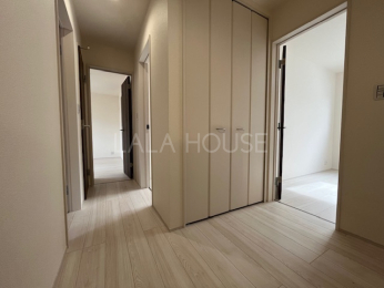 ���̑����� -