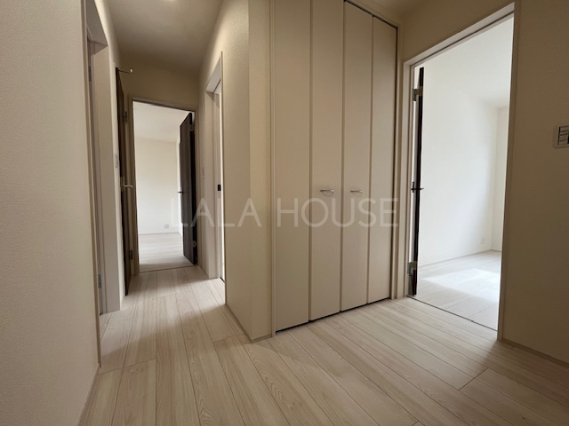 ���̑����� -