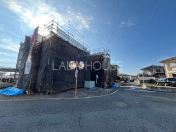 ���n�O�ώʐ^ 2025.11.27�B�e��