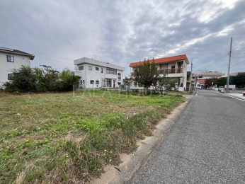 nynʐ^ sXnCyɂ₢킹I