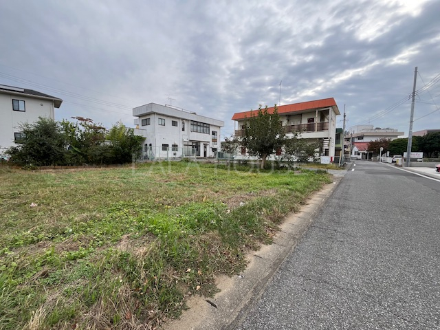 nynʐ^ sXnCyɂ₢킹I