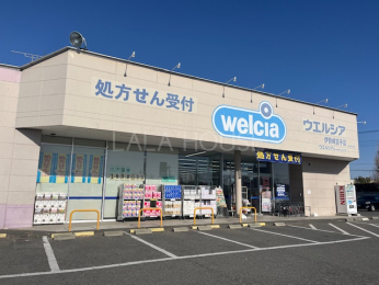 ���ӊ� �E�F���V�A�ɐ���{�q�X