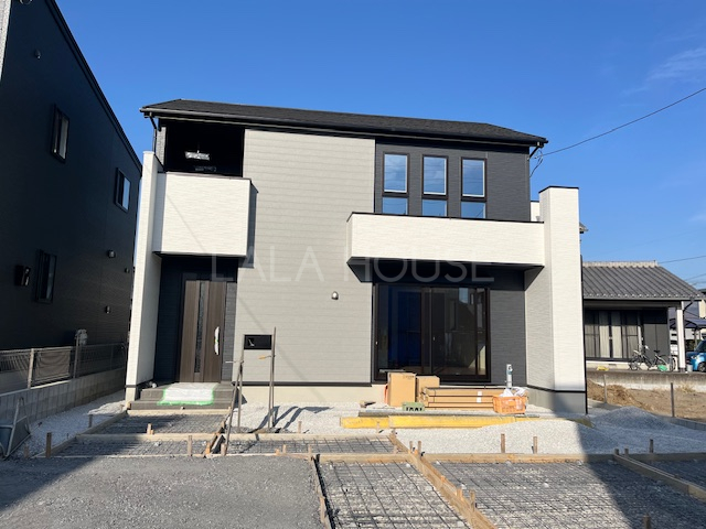 ���n�O�ώʐ^ 2025.12.8�B�e