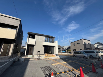 ���n�O�ώʐ^ 2025.12.8�B�e