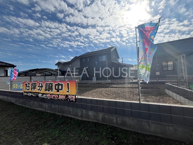 ���n�O�ώʐ^ 2025.11.14�B�e��