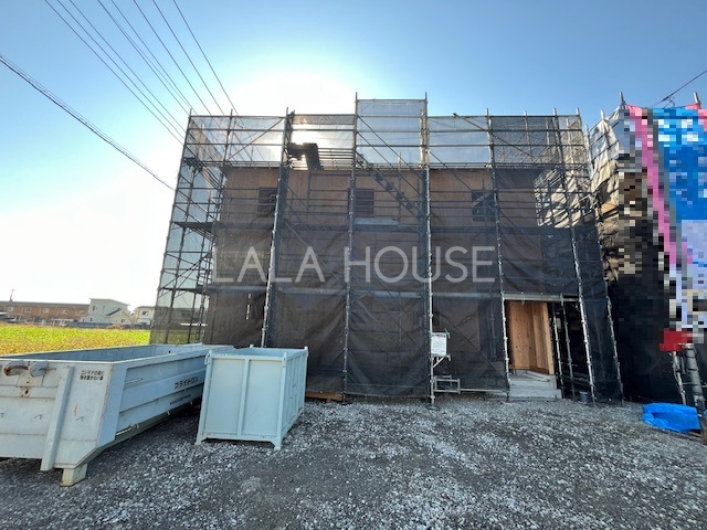 ���n�O�ώʐ^ 2025.11.17�B�e���c