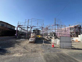 ���n�O�ώʐ^ 2025�N12���B�e