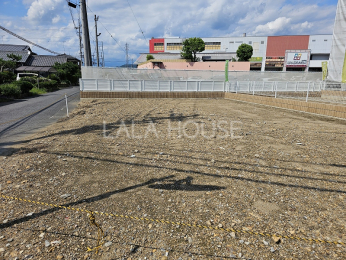 ���n�O�ώʐ^ ��������ǍD�ȑS6���