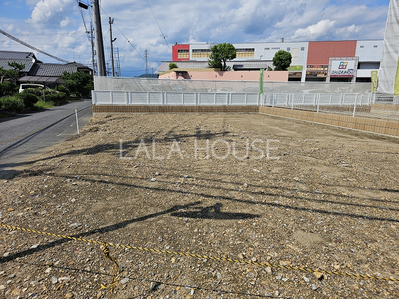 ���n�O�ώʐ^ ��������ǍD�ȑS6���