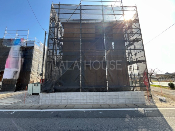 ���n�O�ώʐ^ ���n�i2026�N3���j�B�e