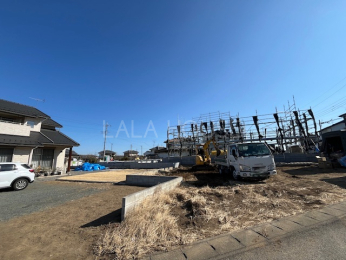 ���n�O�ώʐ^ 2026�N1���B�e��