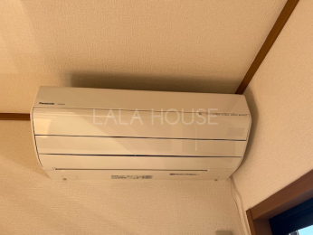 ���̑����� -