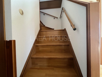 ���̑����� -