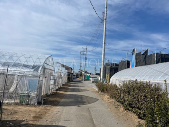 ���n�O�ώʐ^ 2026.2�B�e��