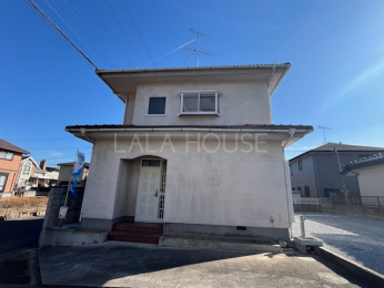 ���n�O�ώʐ^ ���₢���킹����������