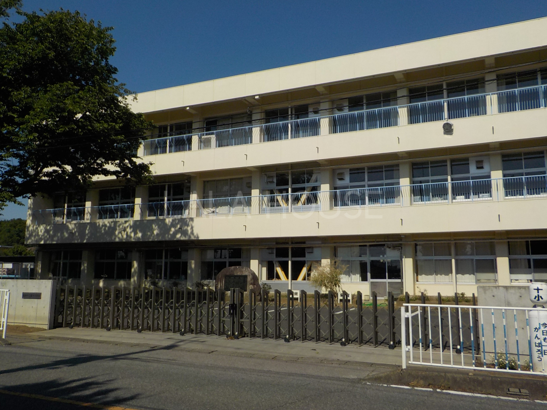 ���̑� ��\���w�Z