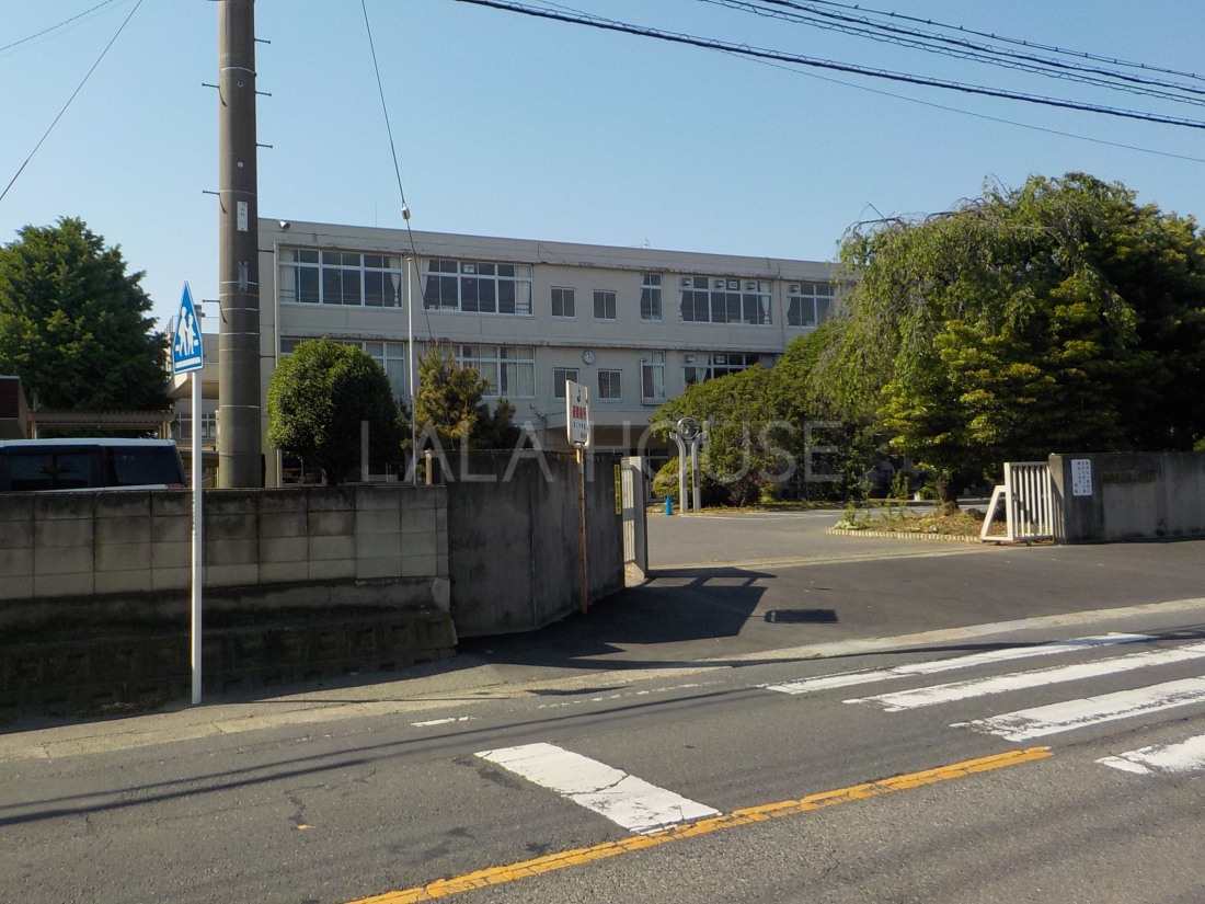 ���̑� ��O���w�Z