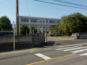 ���̑� ��O���w�Z