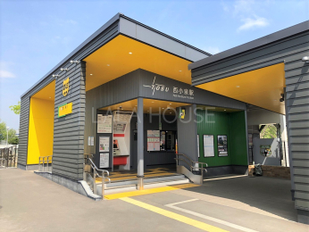 ���̑� �Ŋ�w�F����������s������w�t