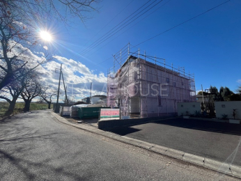 ���n�O�ώʐ^ 25.12�B�e