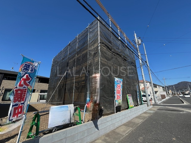 ���n�O�ώʐ^ 26.2.21�B�e��