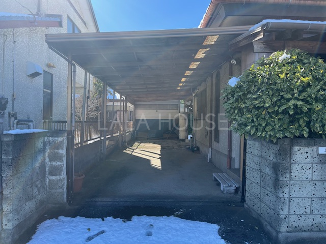 ���ԏ� ����J�����̂��遝