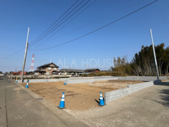 ���n�O�ώʐ^ 2026.2.16�B�e��
���C�y�ɂ��₢���킹����������