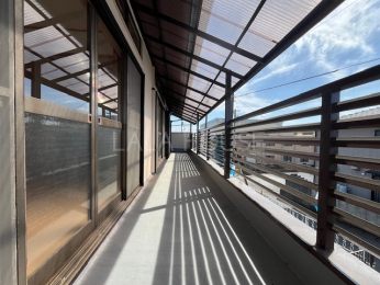 �o���R�j�[ -