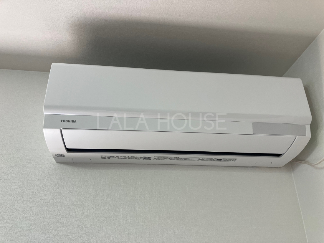 ���̑����� -