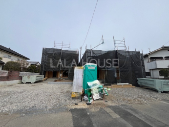 ���n�O�ώʐ^ ���n�i2026�N3���j�B�e���c