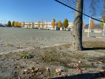 ���ӊ� ��񒆊w�Z