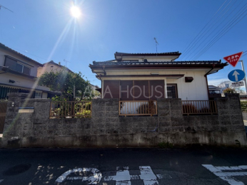 ���n�O�ώʐ^ �l�C�̊p�n