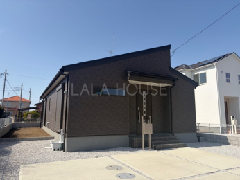 ���n�O�ώʐ^ �z������ǍD��