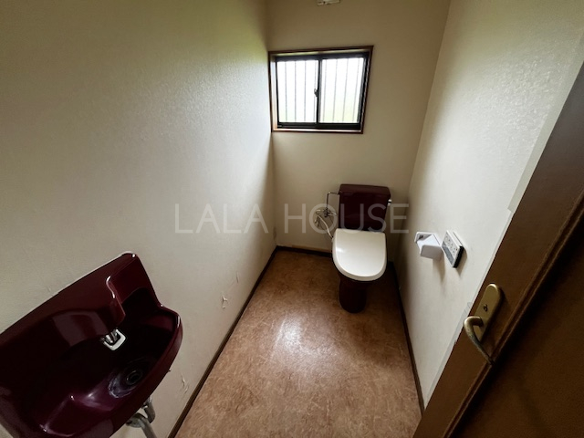 �g�C�� -