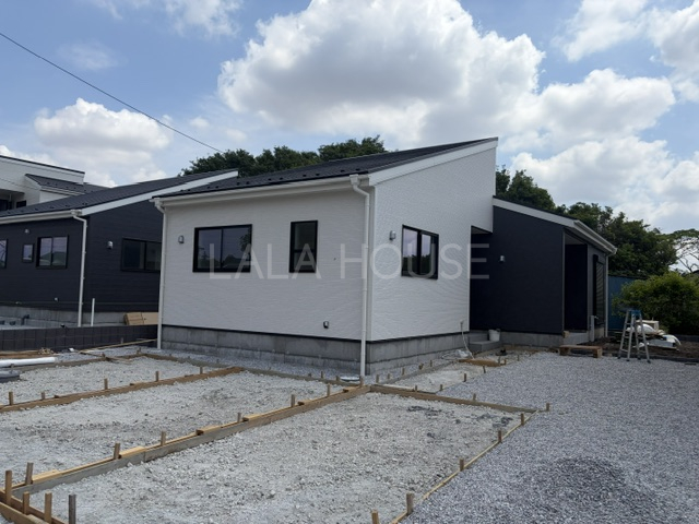���n�O�ώʐ^ ���n�i2026�N5�����{�j�B�e