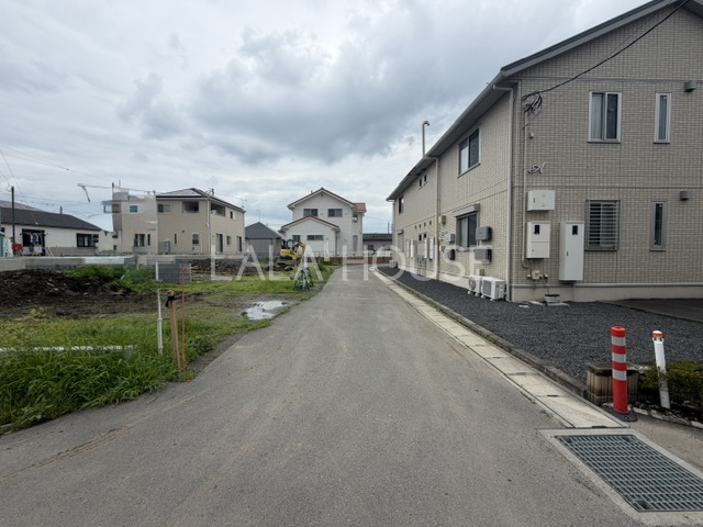 ���n�O�ώʐ^ 2026.7.7�B�e��
