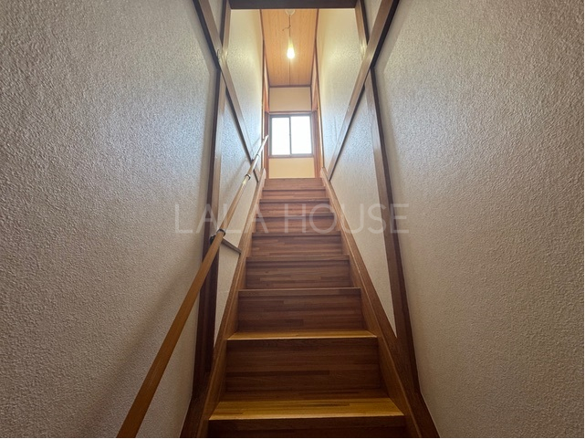 ���̑����� -