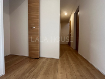 ���̑����� -